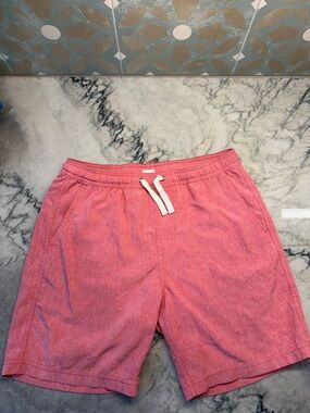 Fair Harbor Kids swim shorts